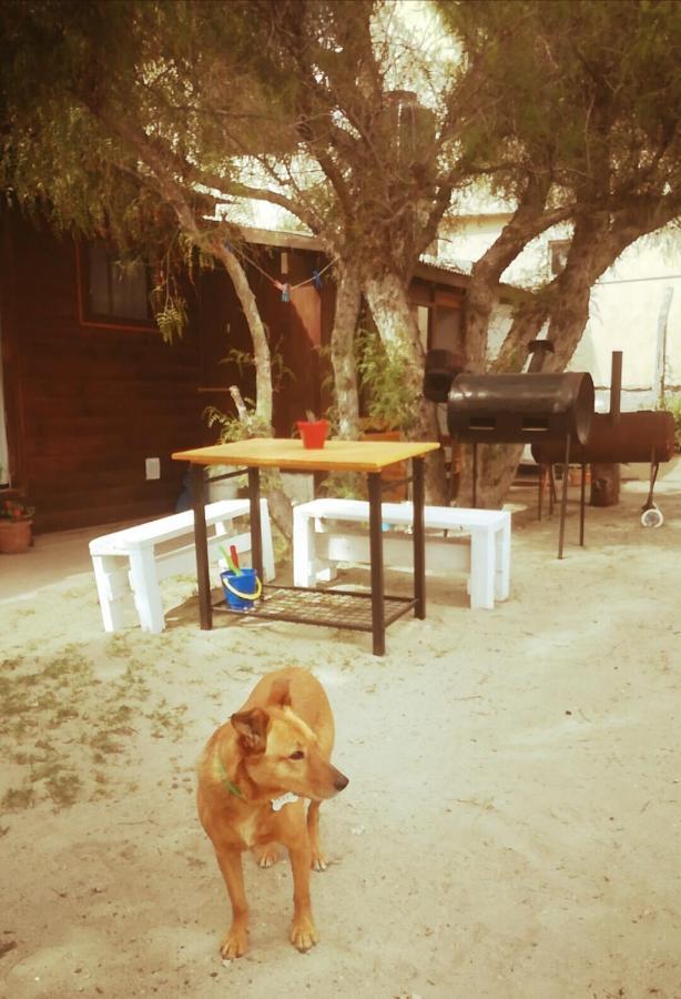 El Canto De La Ballena Loft 1 Puerto Pirámides エクステリア 写真